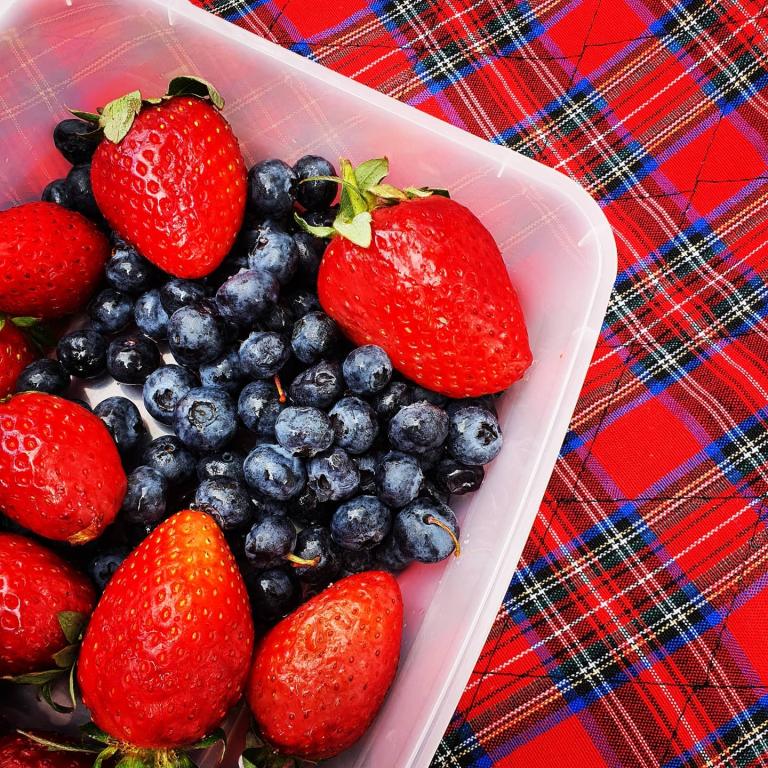 מייה ידי זהב מייה ידי זהב