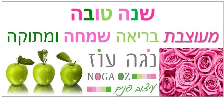 נגה עוז עיצוב פנים נגה עוז עיצוב פנים