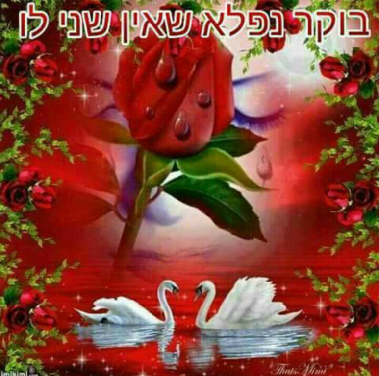 מושיקו מיזוג אויר מושיקו מיזוג אויר