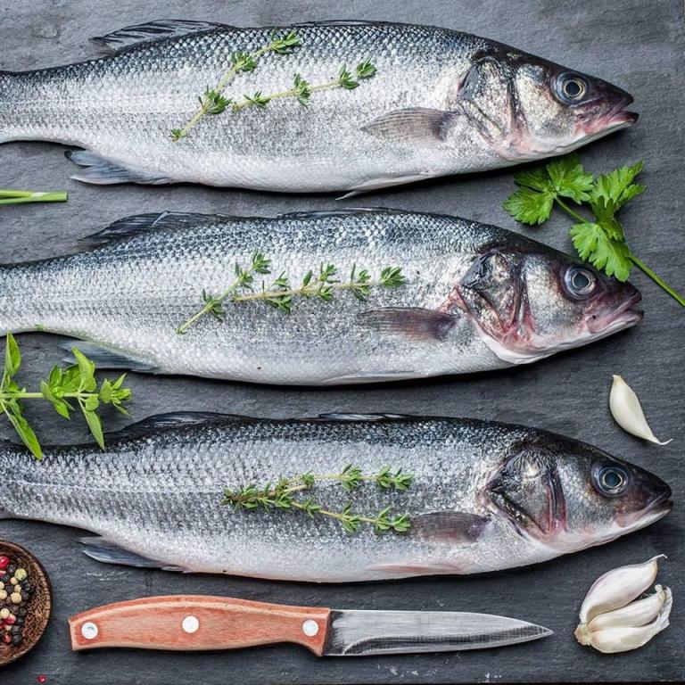 פינת הדג מזרחי משה פינת הדג מזרחי משה