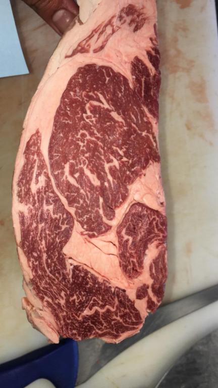 נוריב'ס NURIBS נוריב'ס NURIBS