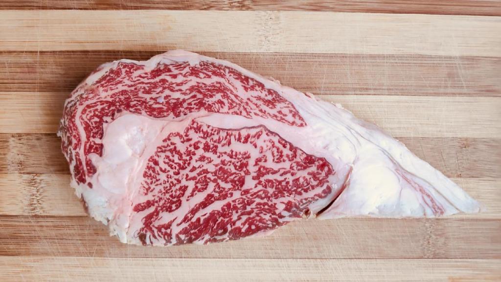 נוריב'ס NURIBS נוריב'ס NURIBS