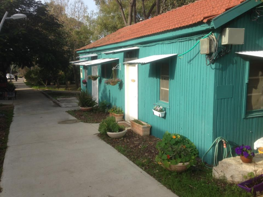 ענבל שיפר ענבל שיפר