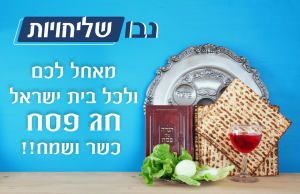 נבו שליחויות