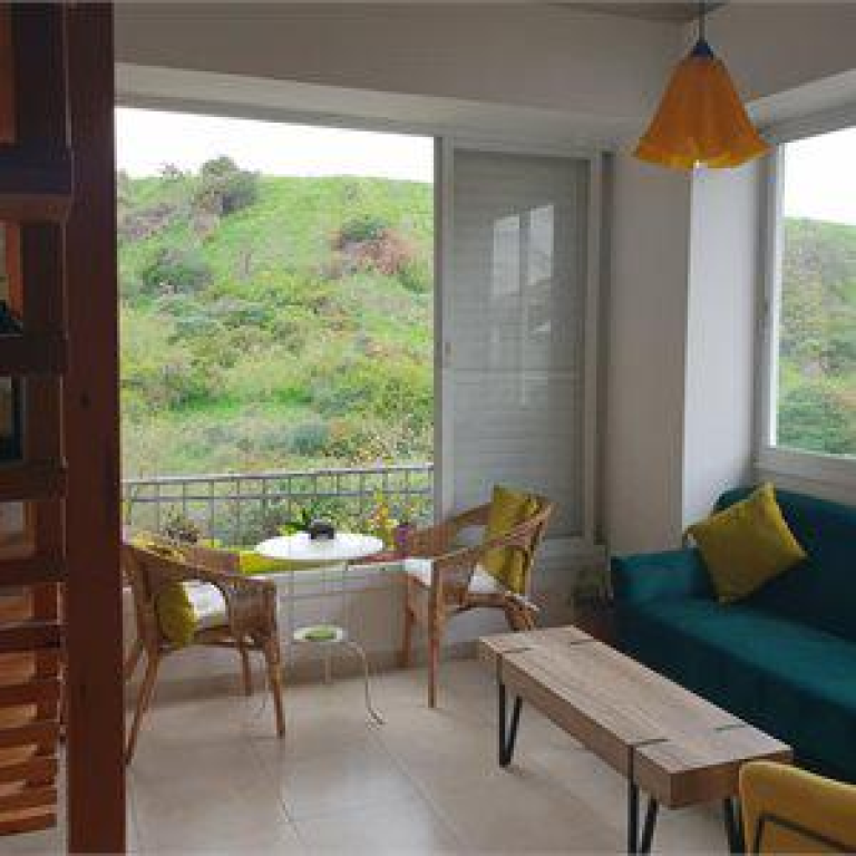 תומר זפרני תומר זפרני