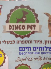 דינגו פט