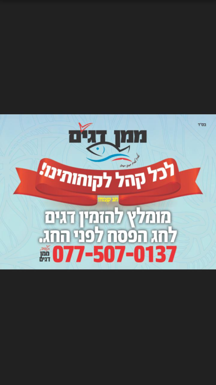 ממן דגים ממן דגים