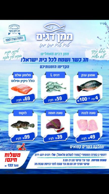 ממן דגים ממן דגים