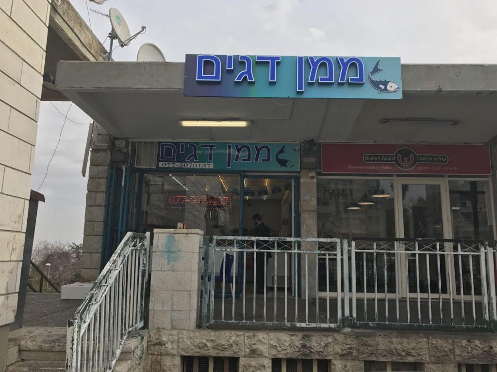 ממן דגים