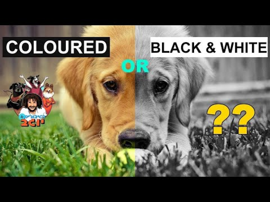 הגיבורים של יוגב הגיבורים של יוגב