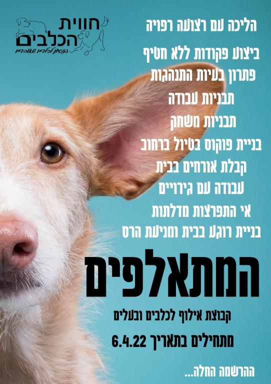 הגיבורים של יוגב הגיבורים של יוגב