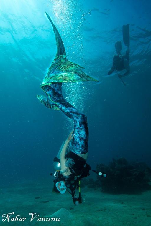 פלמידה מרכז צלילה פלמידה מרכז צלילה