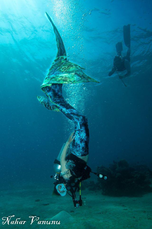 פלמידה מרכז צלילה פלמידה מרכז צלילה