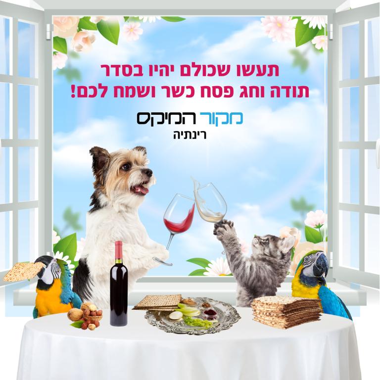 מקור המיקס מקור המיקס