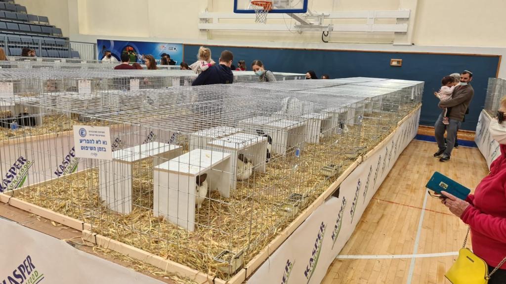 מקור המיקס מקור המיקס