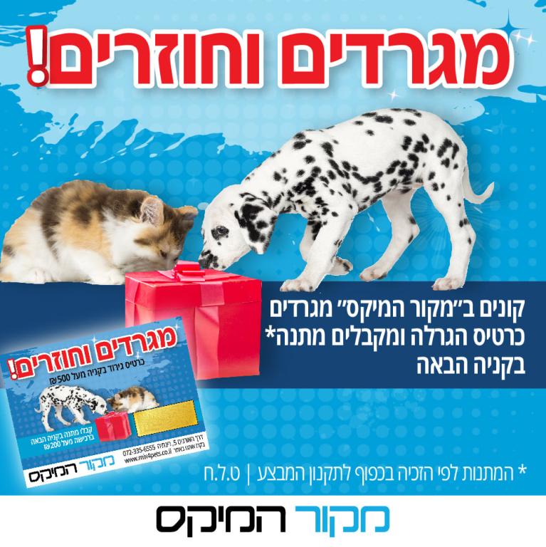 מקור המיקס מקור המיקס