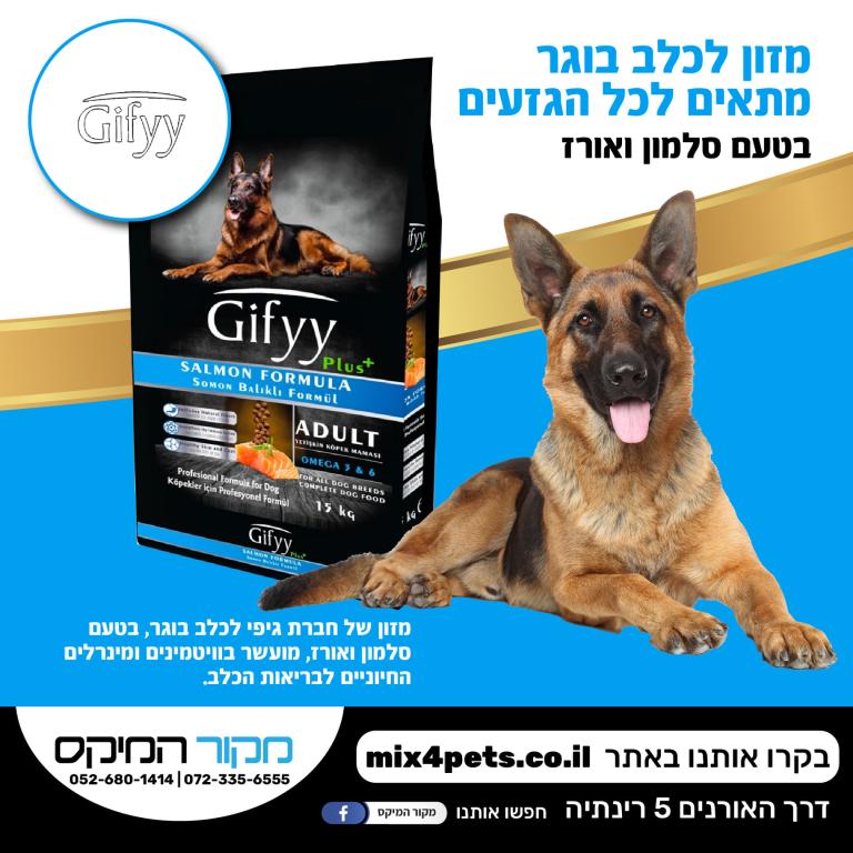 מקור המיקס מקור המיקס