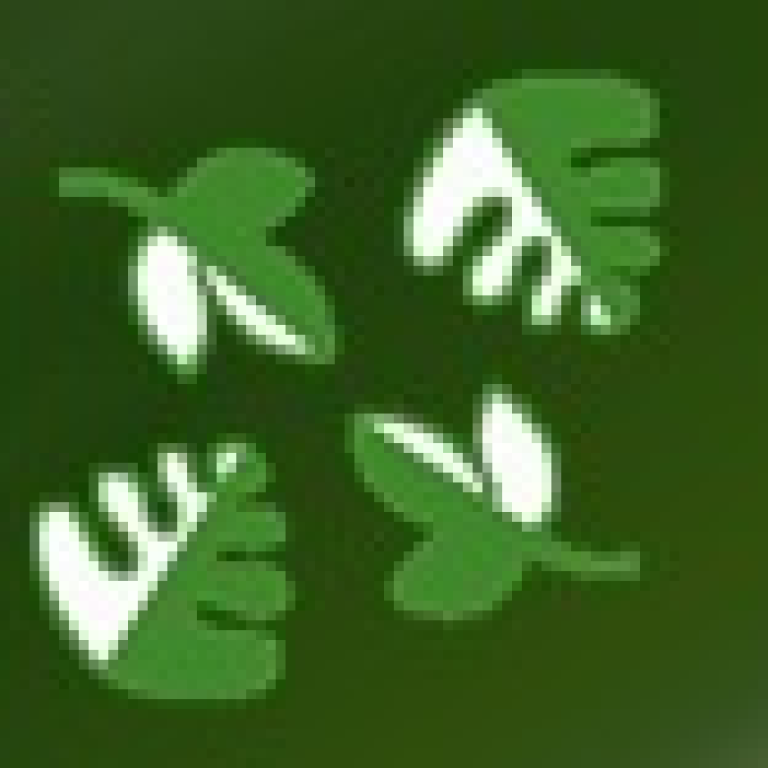 ורד אלה Vered ella ורד אלה Vered ella