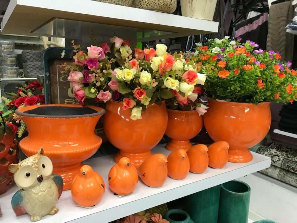 בראונר בראונר