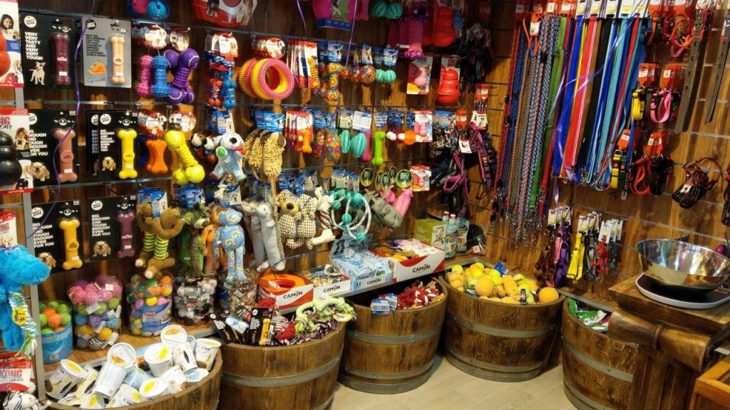 אנימל אקספרס אנימל אקספרס