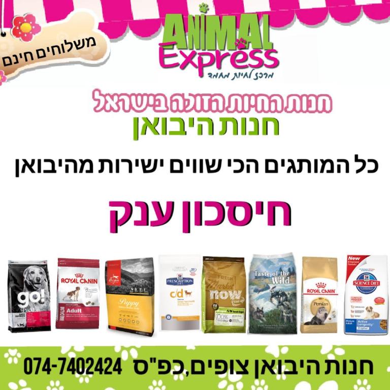 אנימל אקספרס אנימל אקספרס