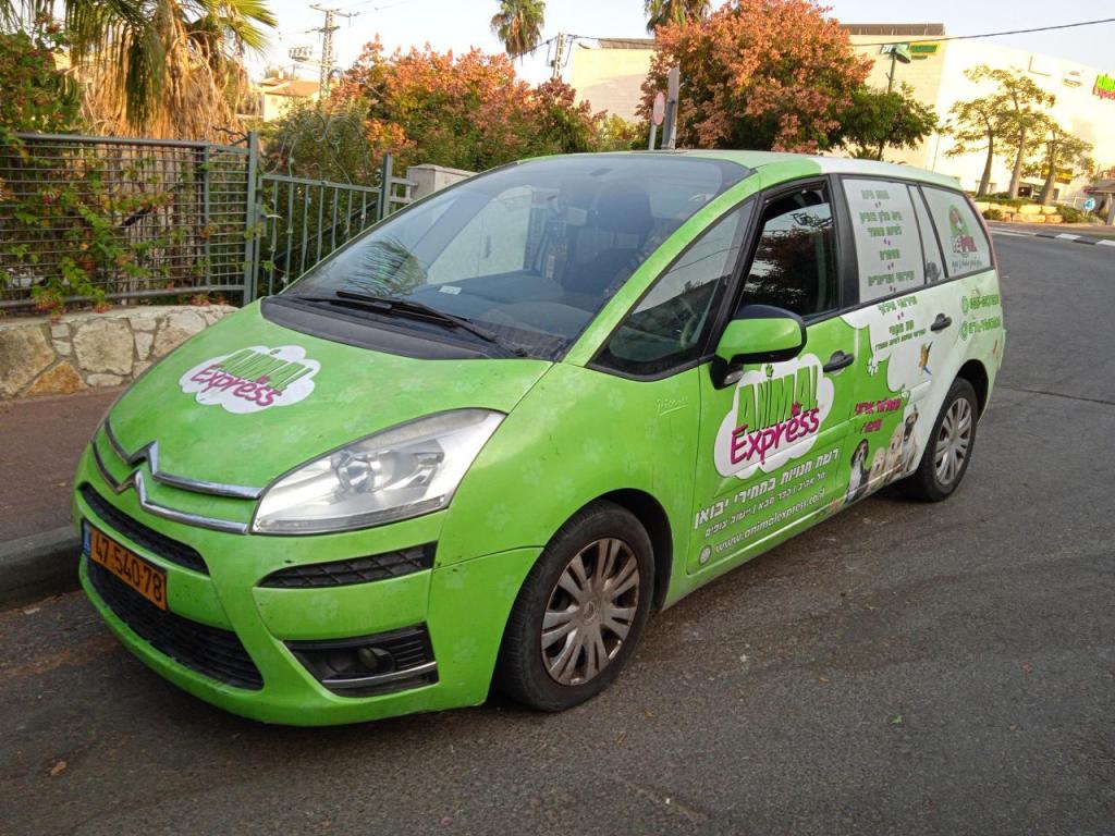 אנימל אקספרס אנימל אקספרס