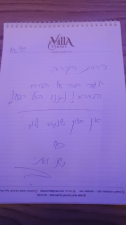 וילה כרמית