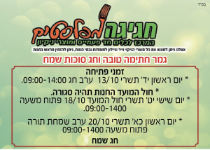 חגיגה מפלסטיק