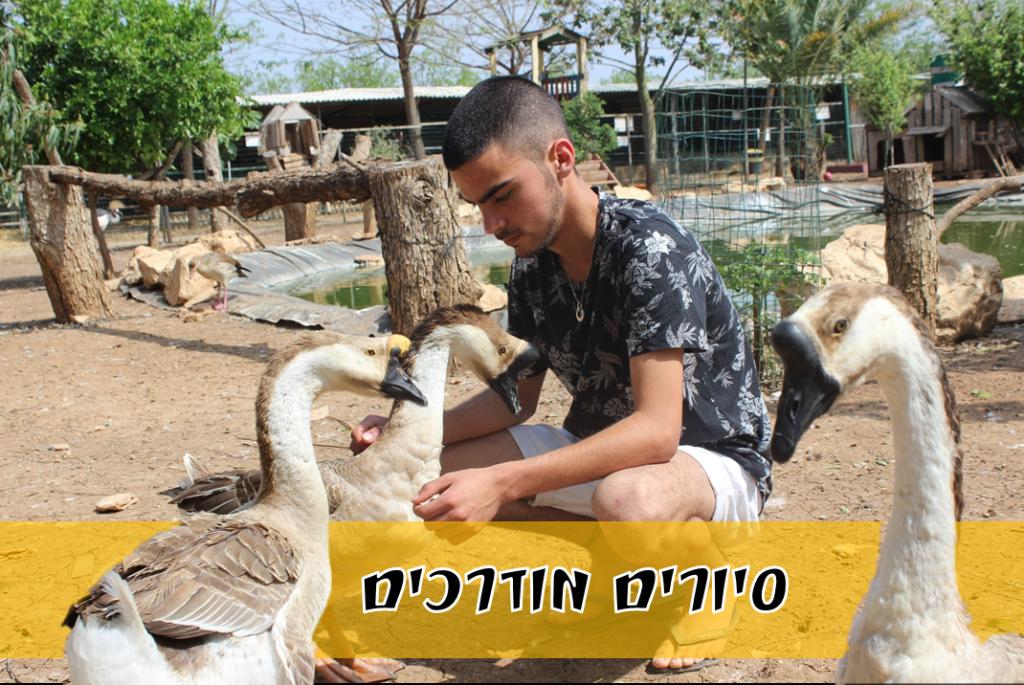 פארק ארץ הצבי פארק ארץ הצבי