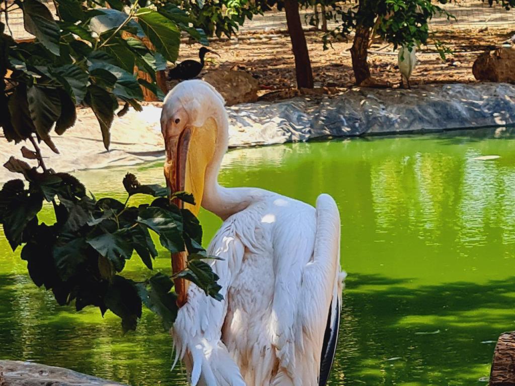 פארק ארץ הצבי פארק ארץ הצבי