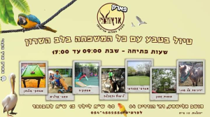 פארק ארץ הצבי