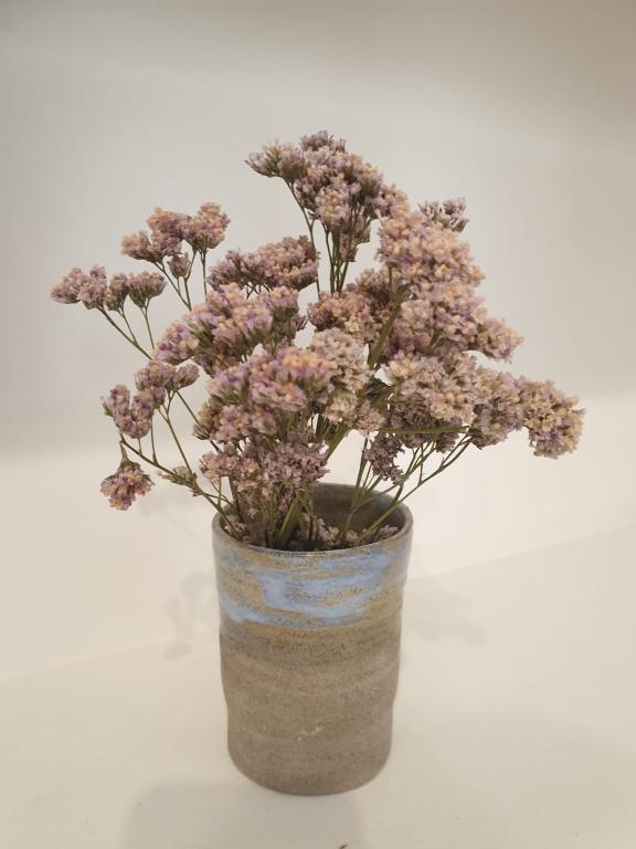 מיכל פילאטיס מיכל פילאטיס