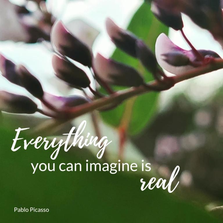 ג'ני המעצבת ג'ני המעצבת