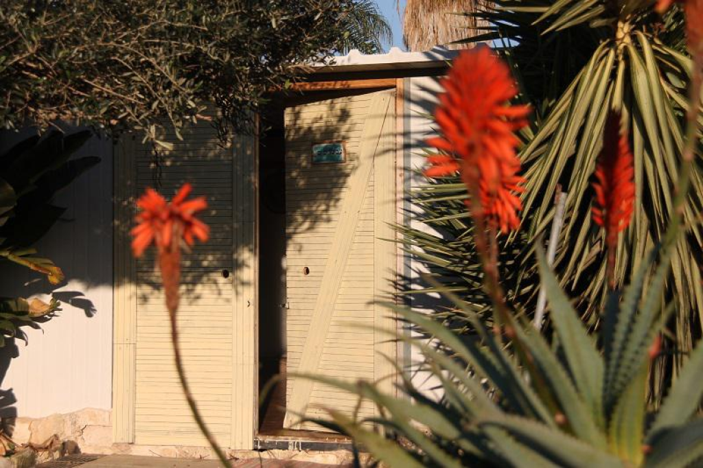 עכשיו טוב עכשיו טוב