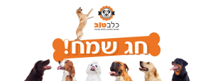כלב טוב שירות דוגווקר חברתי