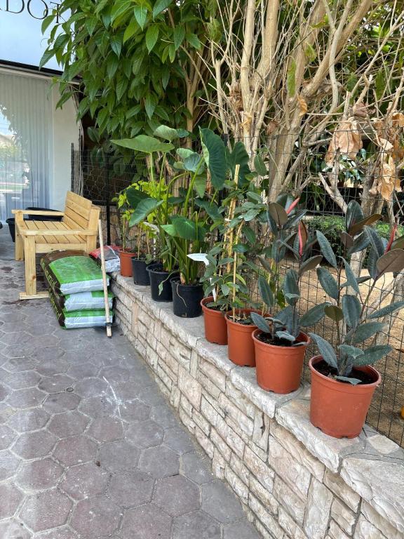 Shaked Gadot Shaked Gadot