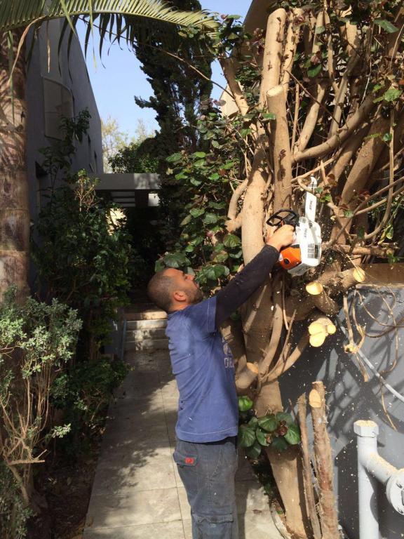 א. ח. גינון ואחזקה א. ח. גינון ואחזקה