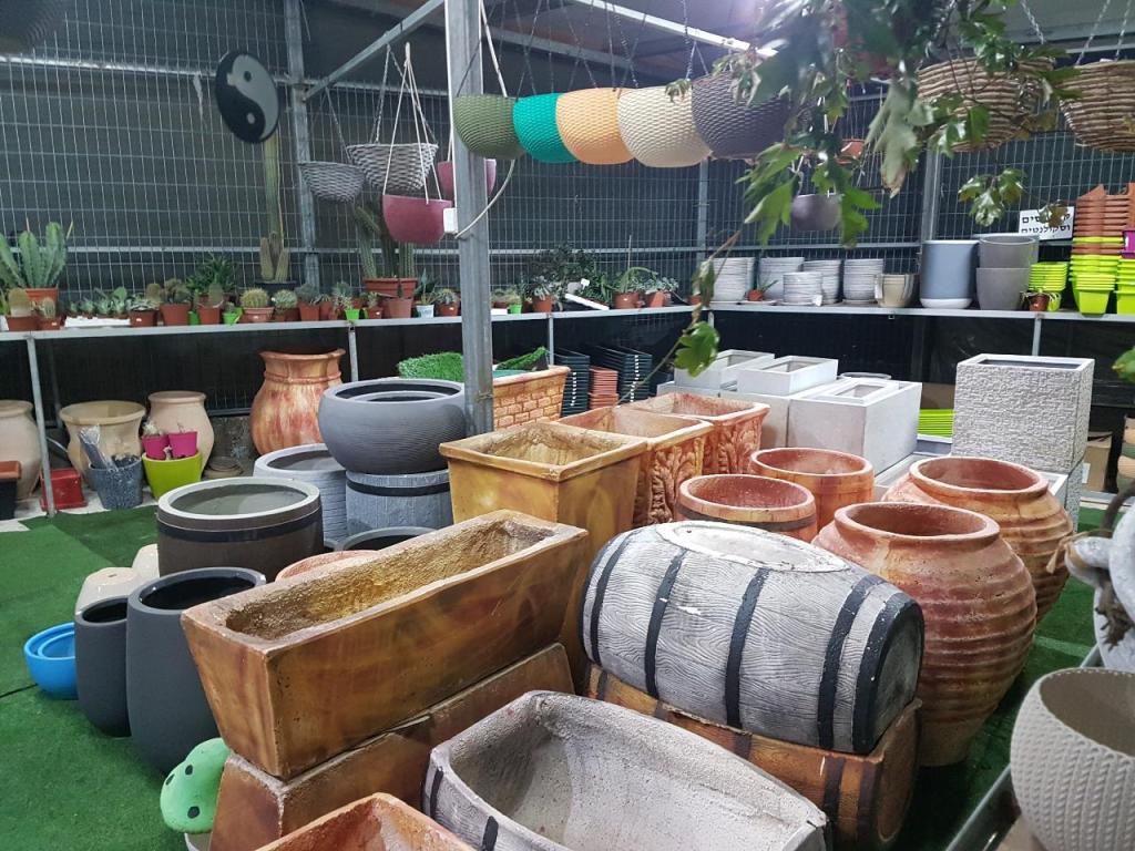 משתלת פרחי ראניה משתלת פרחי ראניה