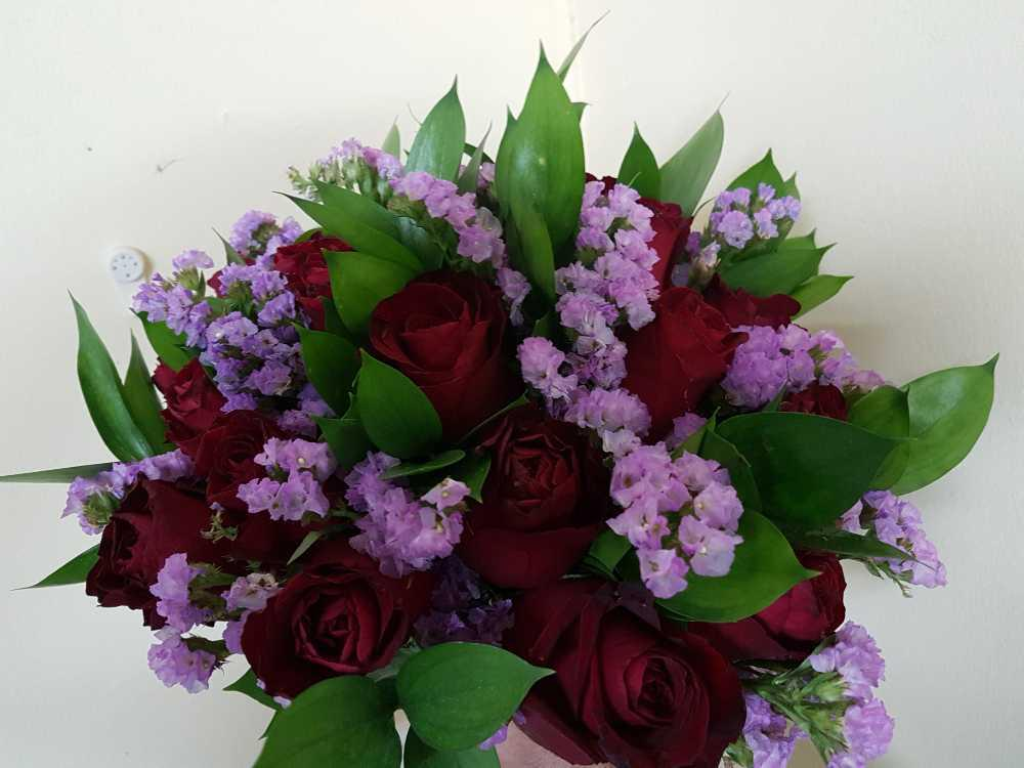 משתלת פרחי ראניה משתלת פרחי ראניה