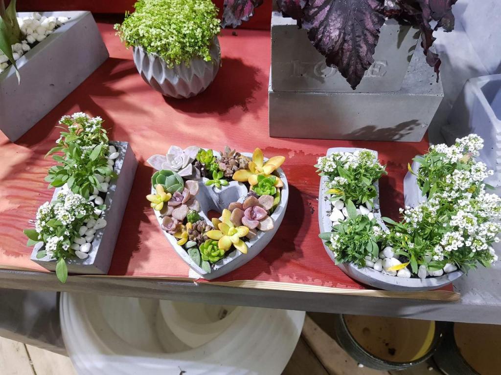 משתלת ירוק משתלת ירוק