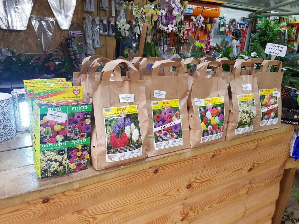 משתלת ירוק משתלת ירוק