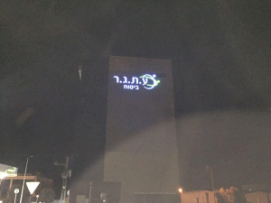 ע.ת.ג.ר ביטוח ופיננסים