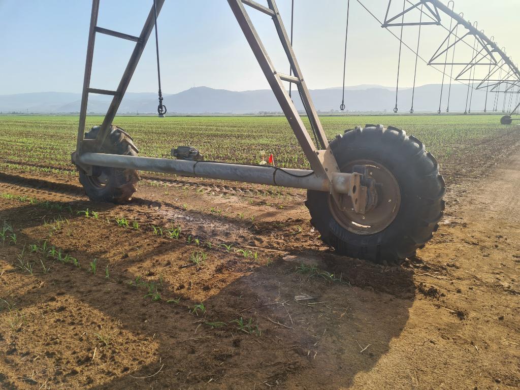 צמיגי וופא צמיגי וופא