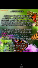 דרך האור רונית קרייצמן