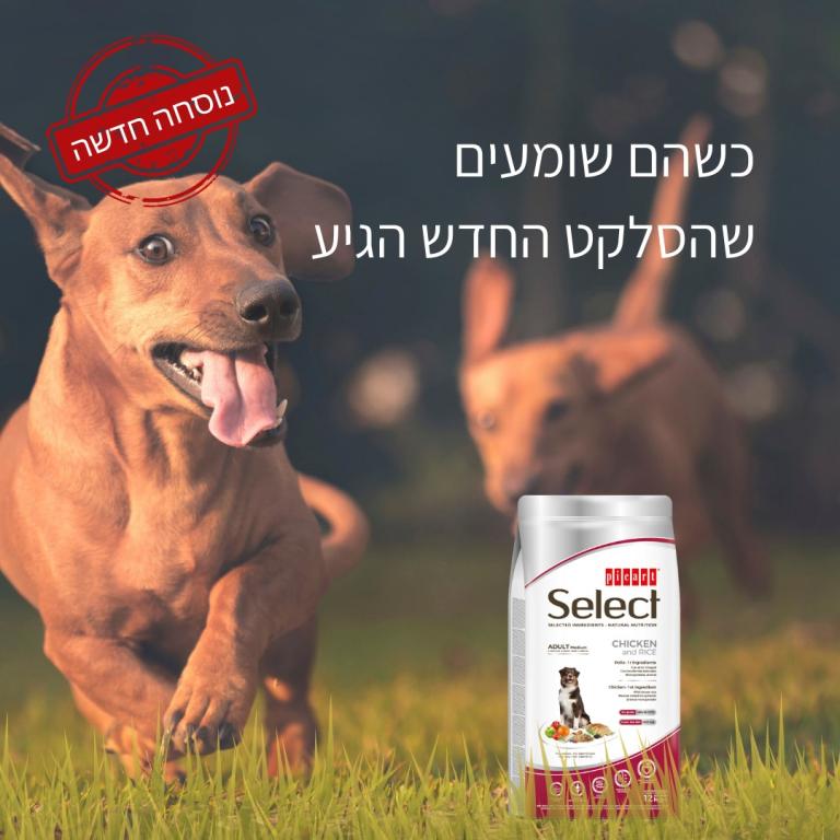 מאפט מאפט