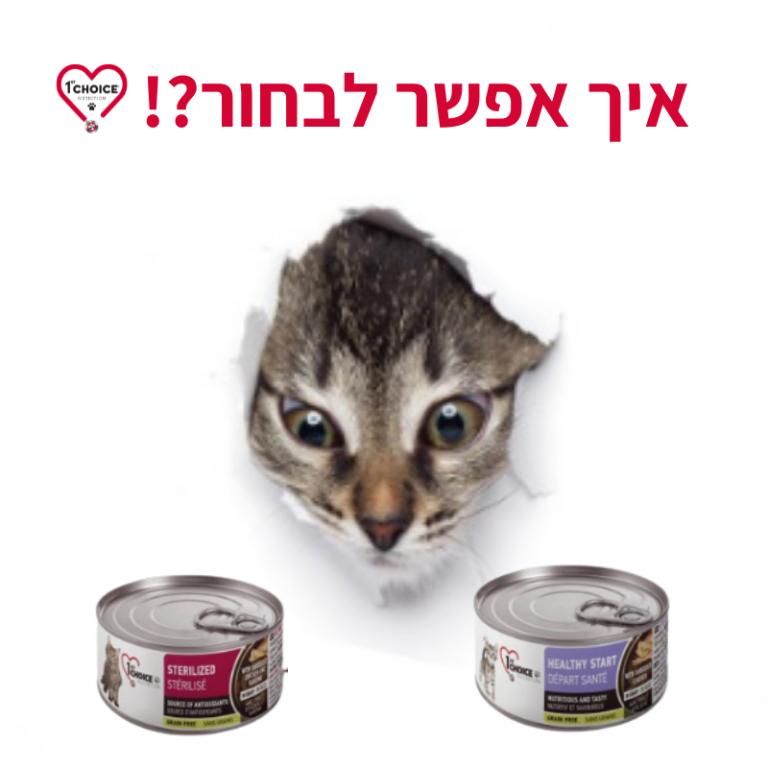 מאפט מאפט