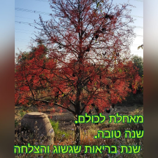 על קצות האצבעות
