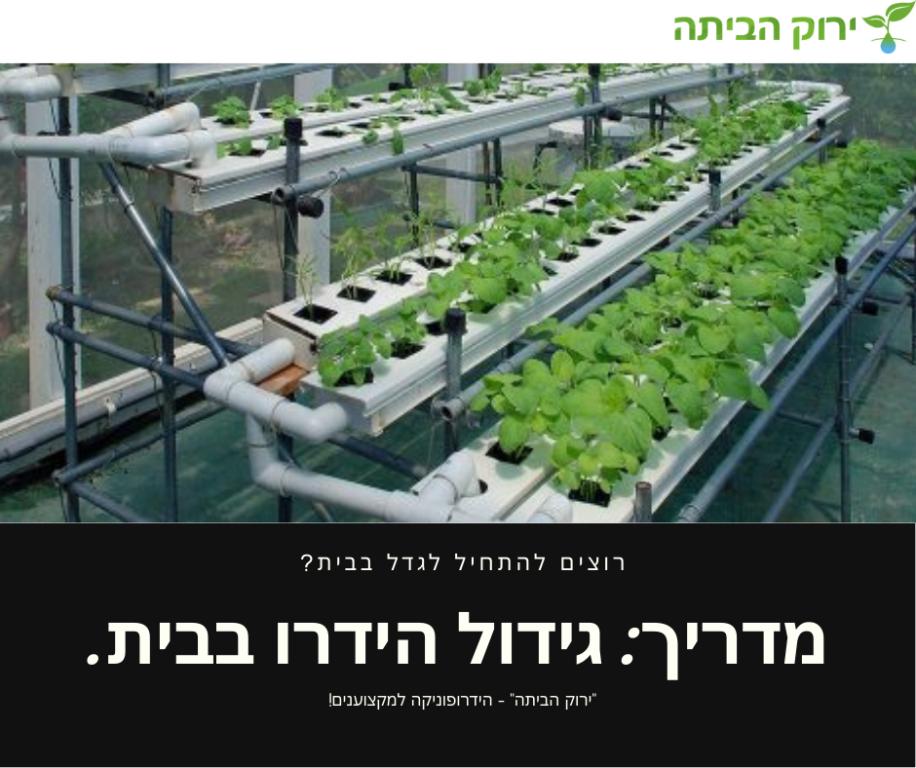 ירוק הביתה TLV ירוק הביתה TLV