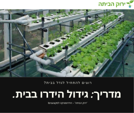 ירוק הביתה TLV