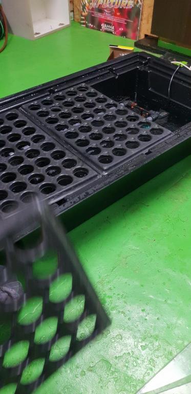 גרין שופ 420 Greenshop גרין שופ 420 Greenshop